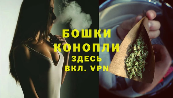 ECSTASY Осинники