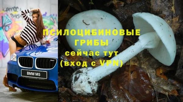ECSTASY Осинники