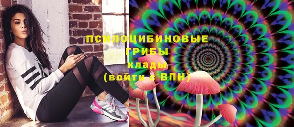 ECSTASY Осинники